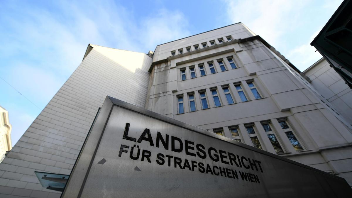 WELT tweet media