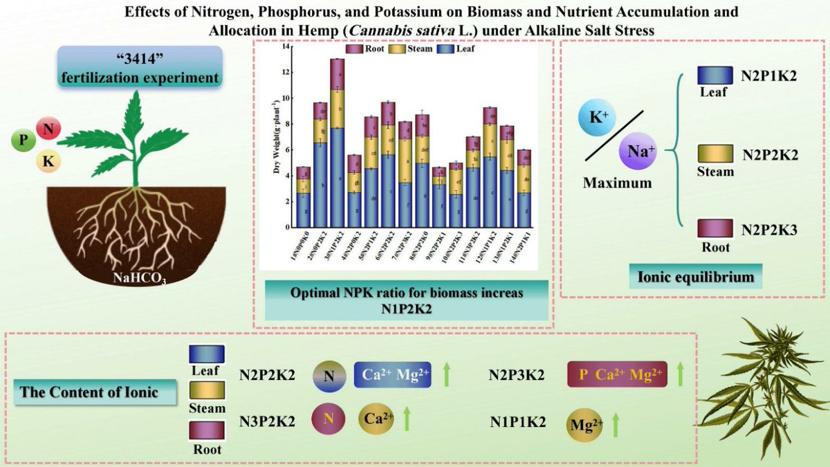 AgricultureMdpi's tweet image. 📸 Newly Published Paper in #AgricultureMdpi

🌿 Adaptation Strategies for Hemp in Alkaline Salt Environments: #FertilizerManagement for Nutrient Uptake and Optimizing Growth

📝 by Yunshu Ye et al.

🔍 Read more:
doi.org/10.3390/agricu…
@LifesciMdpi
