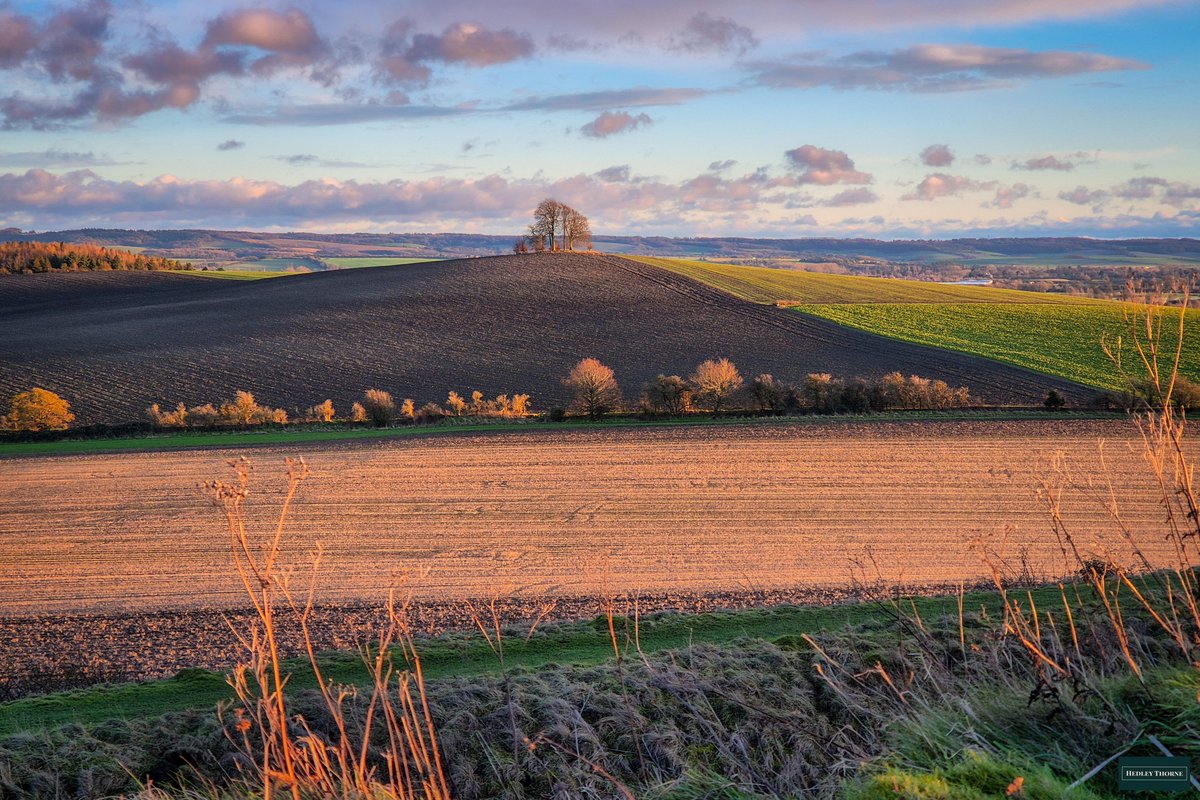 𝙃𝙚𝙙𝙡𝙚𝙮 𝙏𝙝𝙤𝙧𝙣𝙚 (@thorneh) on Twitter photo Sunset over Brightwell Barrow. This is a Bronze Age round barrow forming part of the Sinodun Hills, and a favourite subject of artists Paul Nash and <a href="/Anna_Dillon/">Anna Dillon</a>
see nashclumps.org Sunset over Brightwell Barrow. This is a Bronze Age round barrow forming part of the Sinodun Hills, and a favourite subject of artists Paul Nash and <a href="/Anna_Dillon/">Anna Dillon</a>
see nashclumps.org
