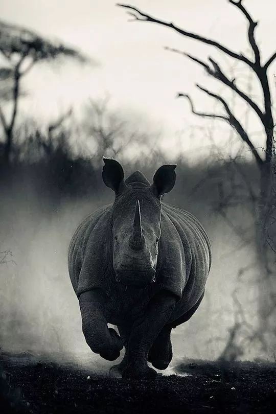 𝘋𝘰𝘯'𝘵 𝘧𝘰𝘳𝘨𝘦𝘵.