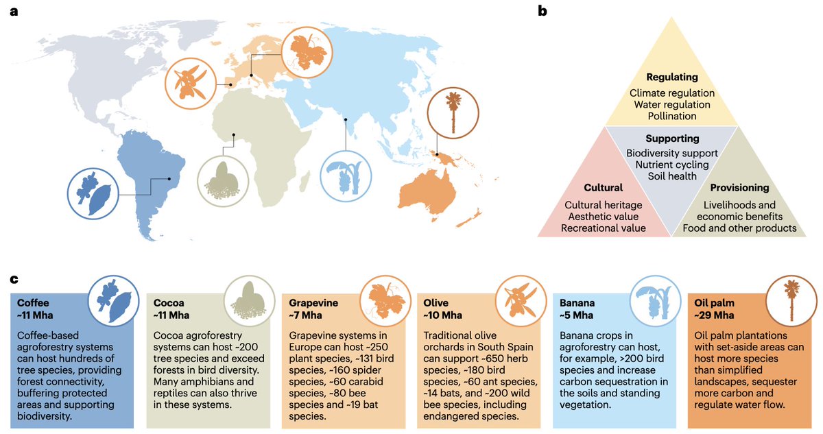 Carlos Martínez Núñez (@carlos_marnu) on Twitter photo Thrilled to share our latest paper in <a href="/naturesustainab/">NatureSustainability</a>, where we present a roadmap to unlock the potential of woody crops for #SustainableDevelopment.
Discover how they can help achieve #SDGs here: rdcu.be/d39od Thrilled to share our latest paper in <a href="/naturesustainab/">NatureSustainability</a>, where we present a roadmap to unlock the potential of woody crops for #SustainableDevelopment.
Discover how they can help achieve #SDGs here: rdcu.be/d39od