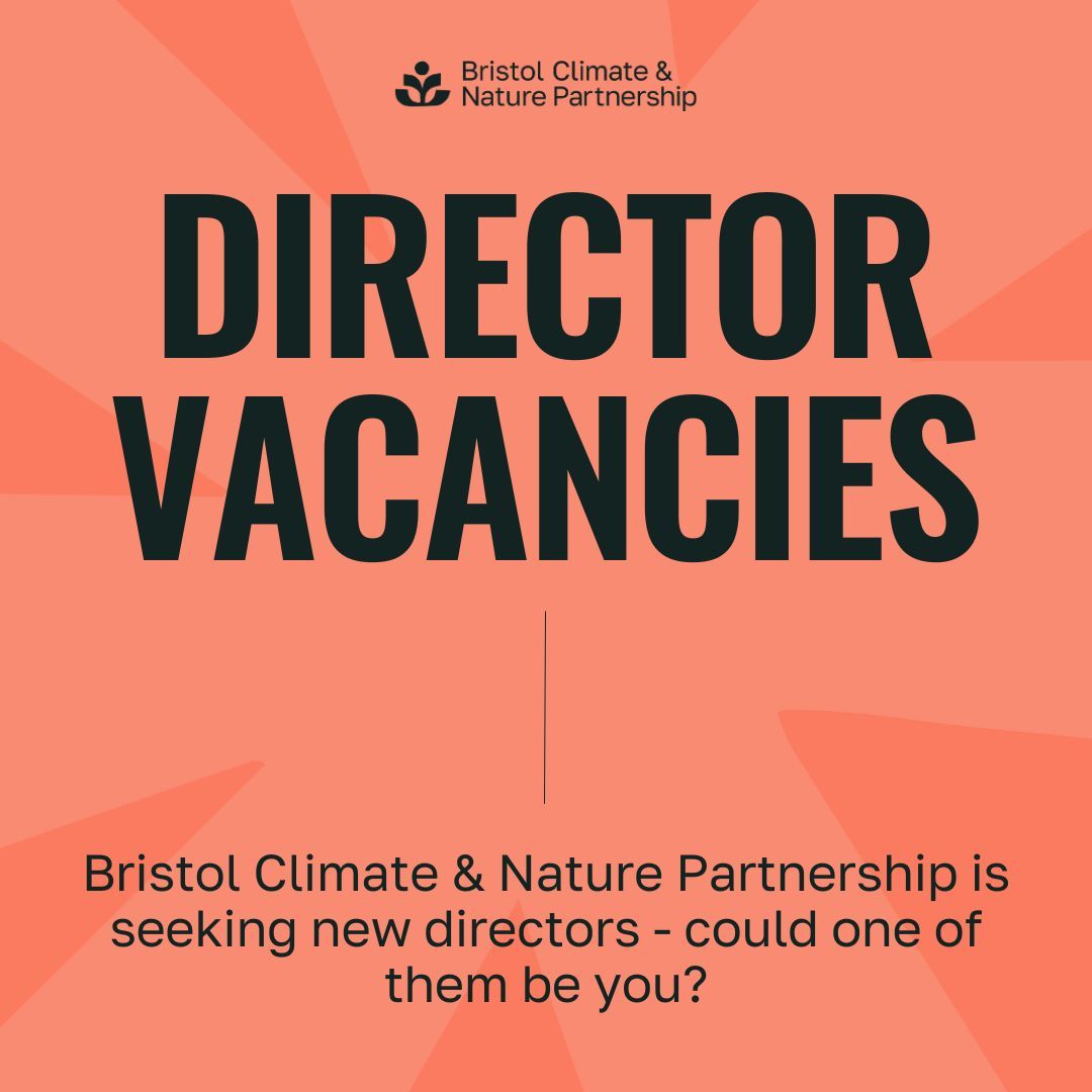 We're looking for 3 volunteer trustees to join our Board of Directors.

Ideally, we are seeking individuals who have some specific experience or expertise in one or more of the following areas:
💷 Fundraising and income generation
🧑‍⚖️ Legal
📈 Finance 
 
buff.ly/4h6GCfD