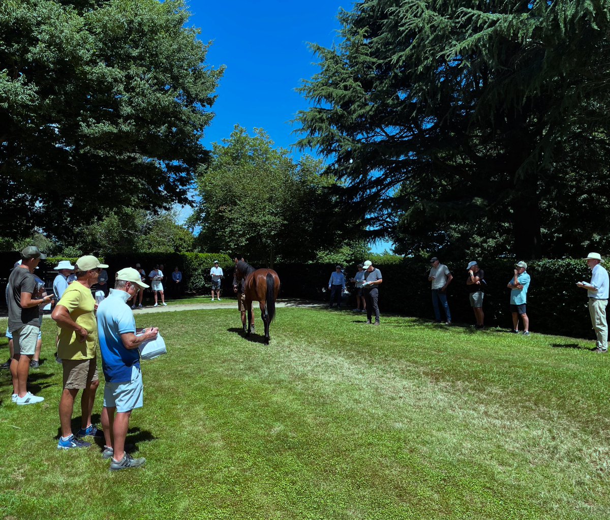 We had a great time welcoming everyone on the NZB tour group to the stud this afternoon to view our impressive line-up of yearlings heading to <a href="/KarakaChat/">New Zealand Bloodstock</a> later this month. 

Great to see such a big turn out today., some keen eyes on the lookout to find their next stakes winner