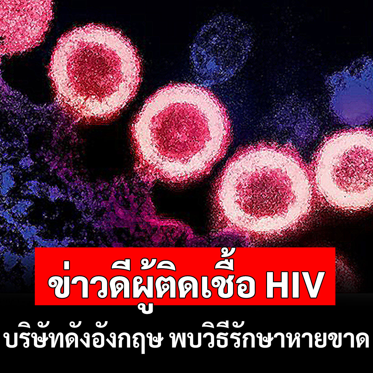 แนวหน้าออนไลน์ tweet media