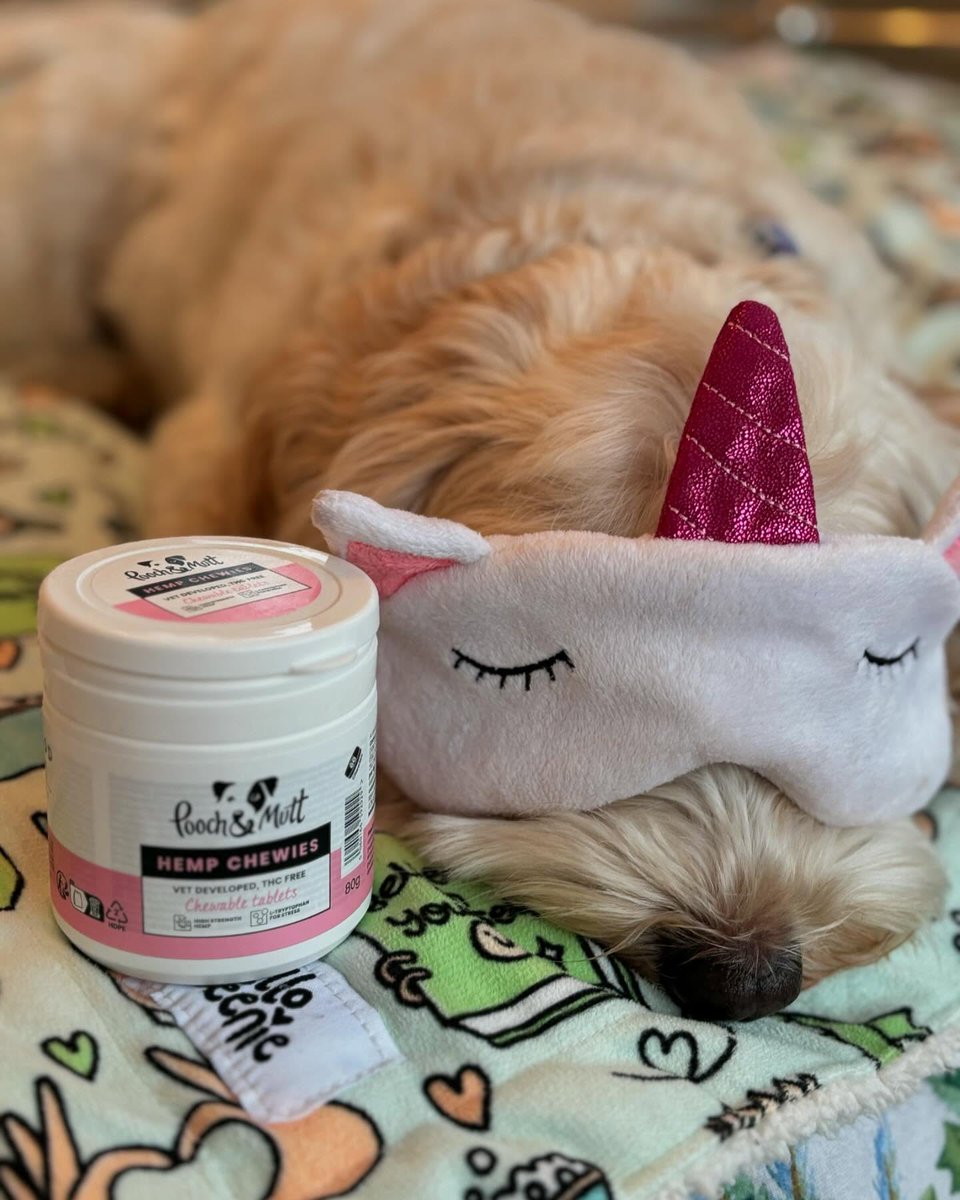 How we're spending our January 💆

If you've got an anxious or nervous dog, our natural Hemp Chewies safely support low-stress levels and have anti-inflammatory properties 💖

📷 princessnelliebythesea 

#PoochAndMutt #DogSupplements #AnxiousDog #NervousDog #NaturalSupplements