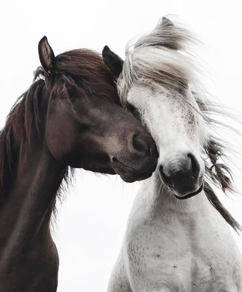 “Stronger together.”