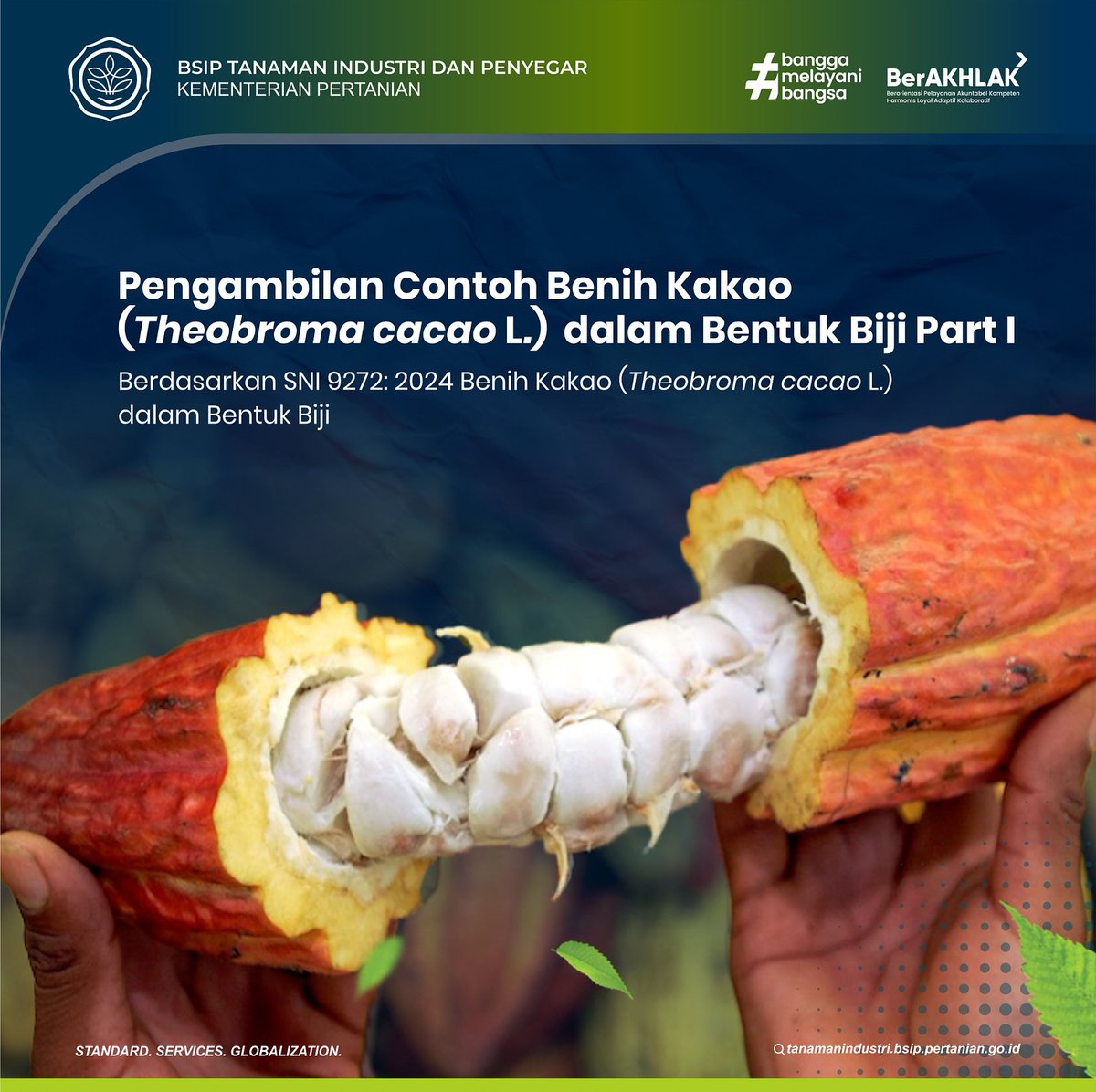brmptri's tweet image. Hi, #frenSIP
Yuk kita simak, kelanjutan standar benih kakao yang sesuai dengan SNI 9272: 2024 berikut!