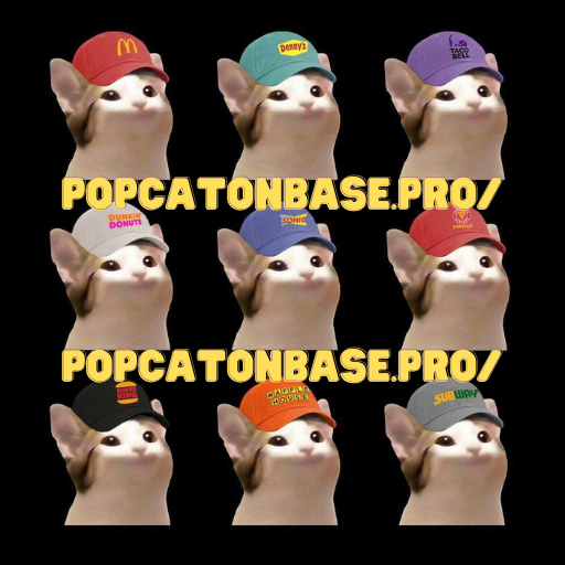 popcatcoinbase's tweet photo. @MonstersCoins Popcat with hat🧢 and BASE https://t.co/Z2qEauwPiV