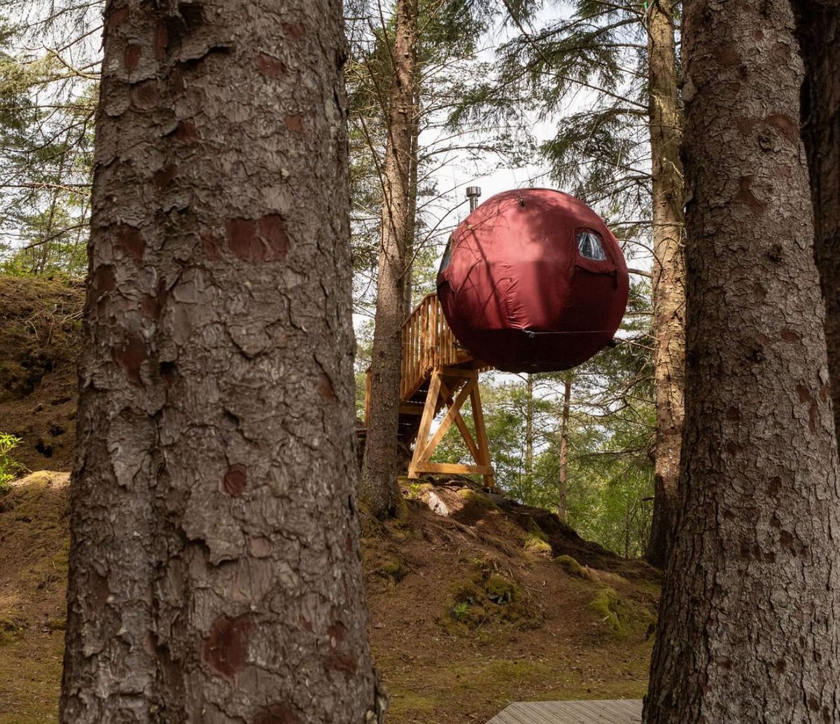 TreeTents's tweet image. 🏕️ SITE SPOTLIGHT ⭐
Opened in 2024, Highland Hangout sits in a captivating region of #Scotland that delights visitors with its raw natural beauty and rich history. Here, a Tree Tent and Fuselage are nestled in unforgettable surroundings: buff.ly/4h71a7L

#VisitScotland