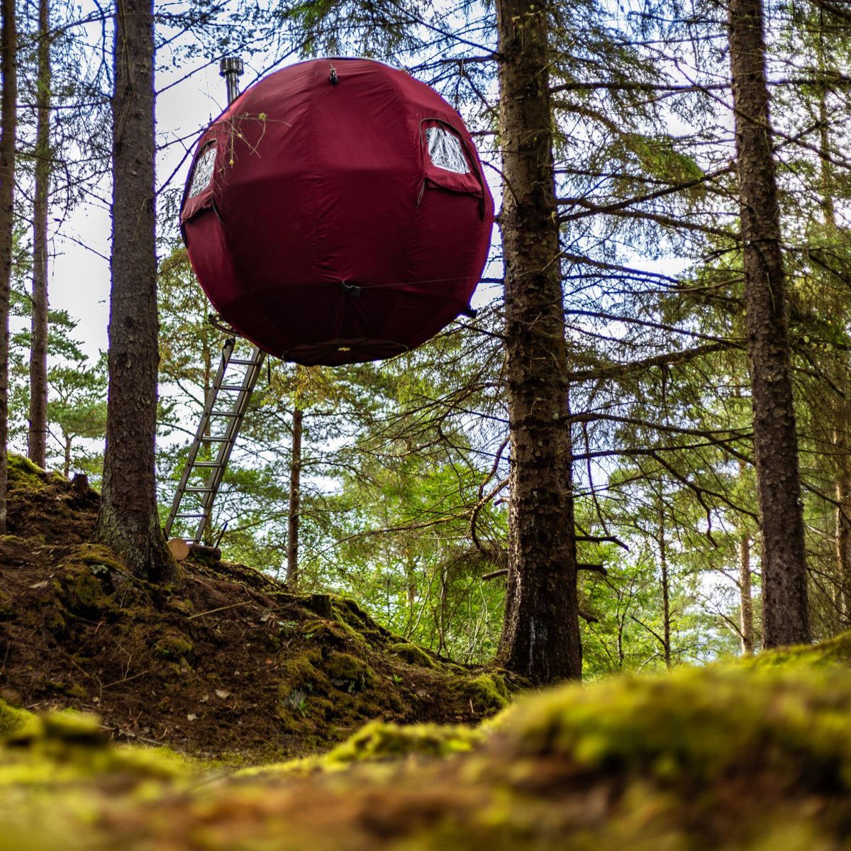 TreeTents's tweet image. 🏕️ SITE SPOTLIGHT ⭐
Opened in 2024, Highland Hangout sits in a captivating region of #Scotland that delights visitors with its raw natural beauty and rich history. Here, a Tree Tent and Fuselage are nestled in unforgettable surroundings: buff.ly/4h71a7L

#VisitScotland