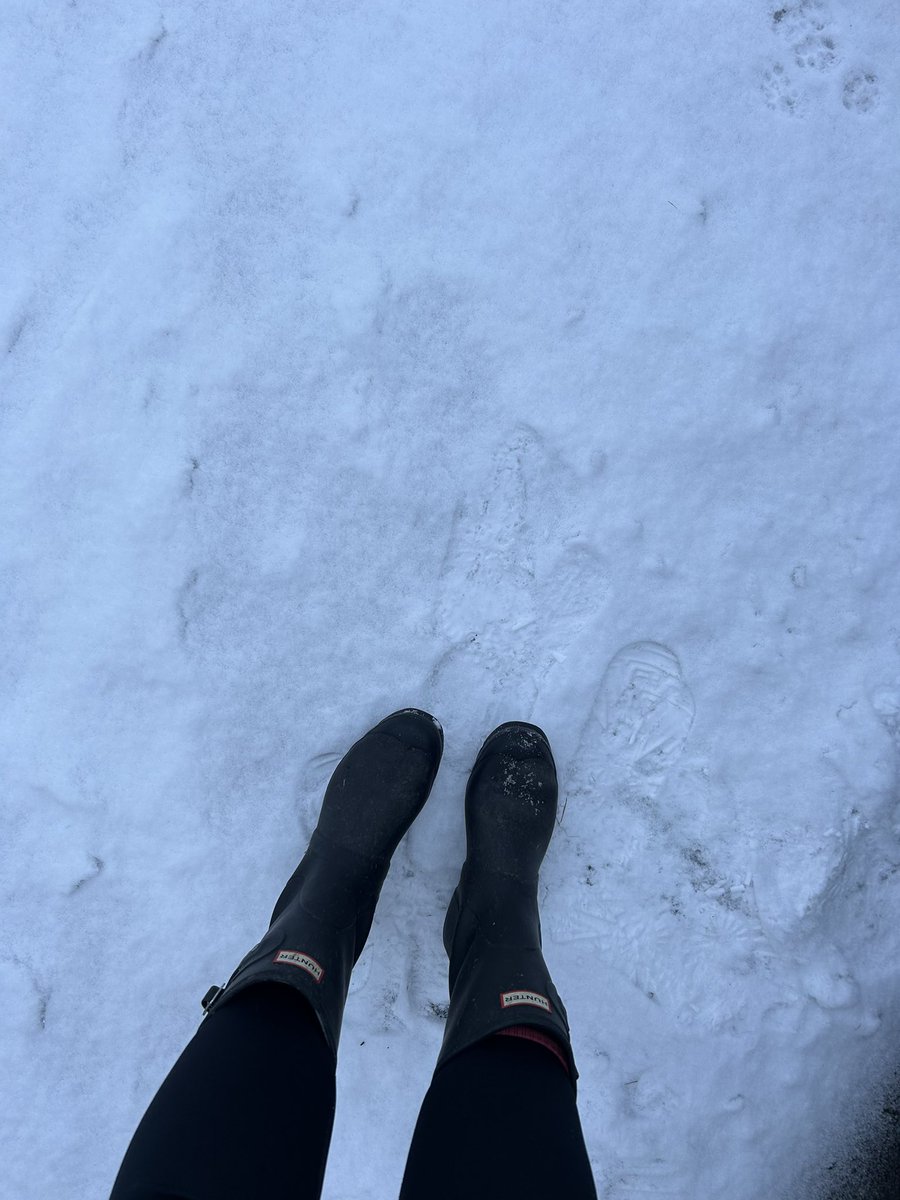 Rebecca 🍸 tweet media