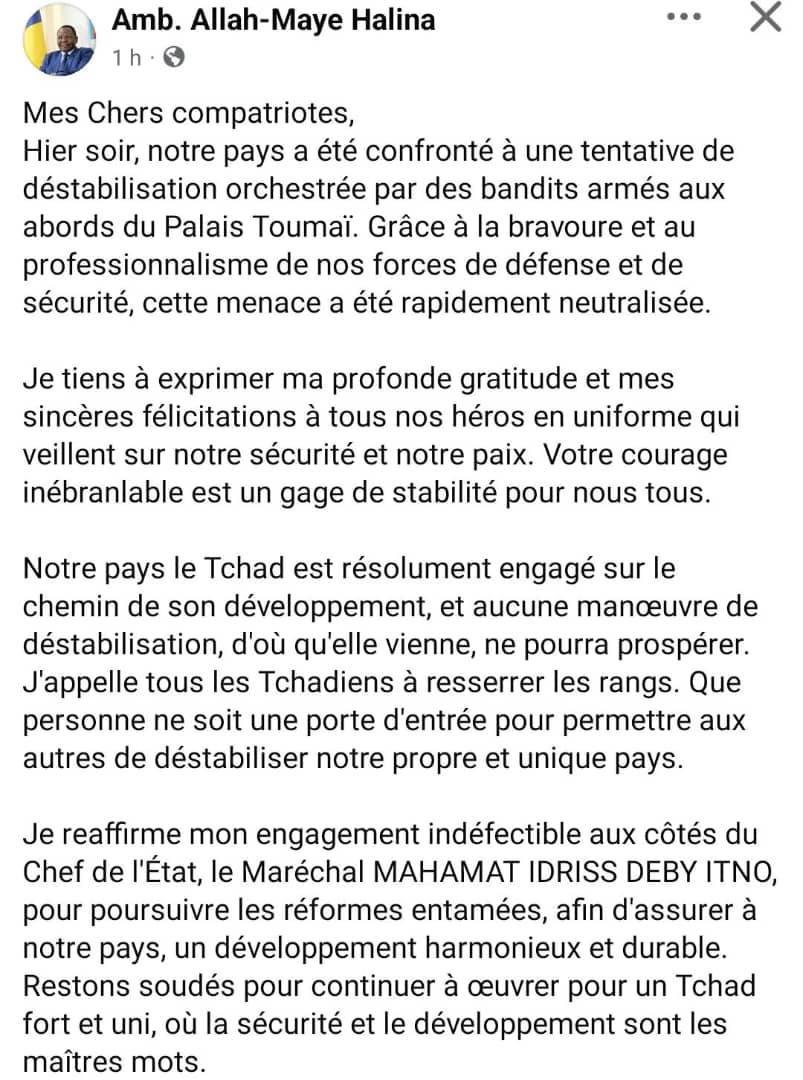 Allah-Maye Halina 🇹🇩 tweet media