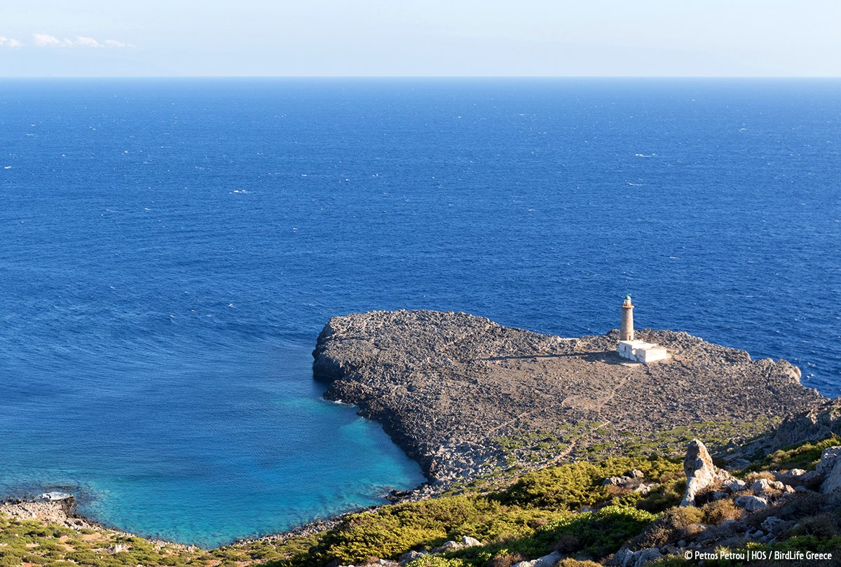 ornithologiki's tweet photo. Κλιματική αλλαγή: η μεγάλη πρόκληση για τα μεταναστευτικά πουλιά

‼️Οι ολοένα και πιο δυσμενείς κλιματικές συνθήκες θα δυσκολεύουν  τη διάσχιση Σαχάρας - Μεσογείου, ενώ θα περιορίσουν τους κατάλληλους ενδιάμεσους μεταναστευτικούς σταθμούς στη Β. Αφρική.
👉 https://t.co/6D3i8S14oc https://t.co/vIakYVnGbO