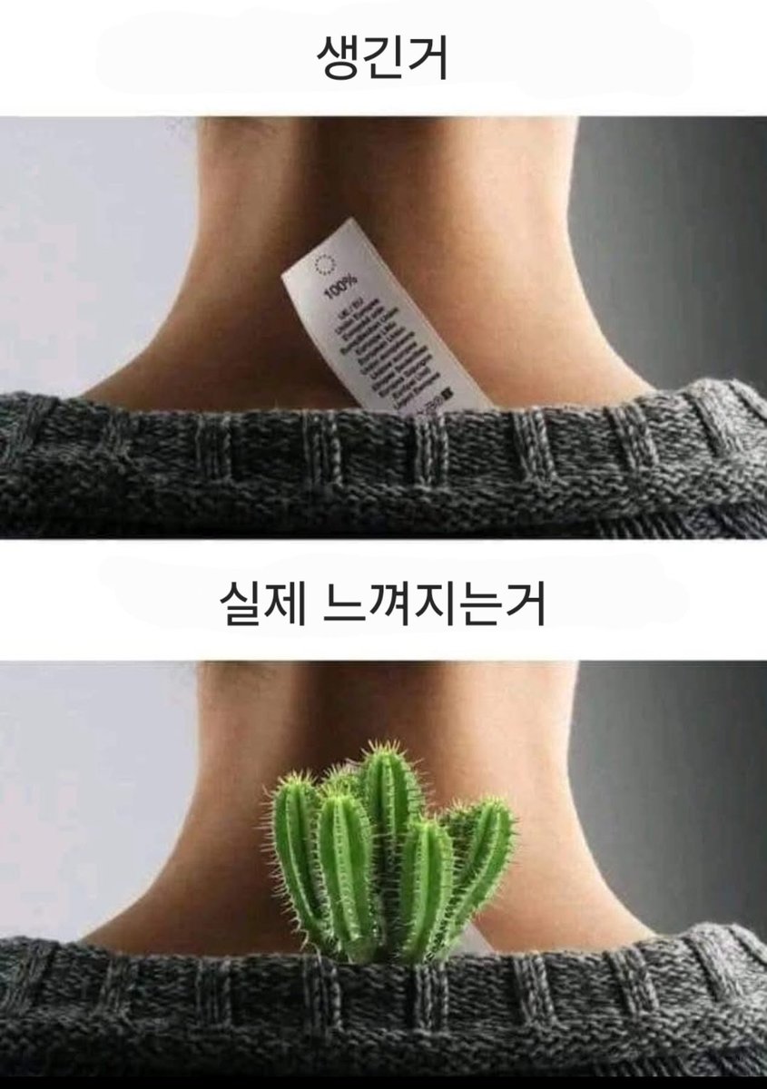 밈 번역계 (@jima_meme) on Twitter photo 