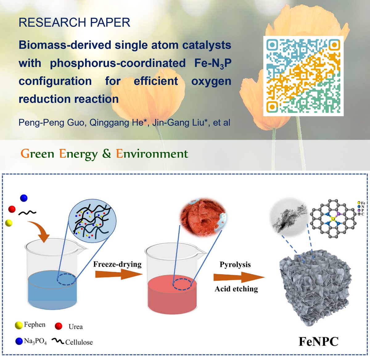 Green Energy & Environment (@gee_journal) on Twitter photo ✨#GEE #Research ✨
#Biomass-derived single atom #catalysts with phosphorus-coordinated Fe-N3P configuration for efficient oxygen reduction reaction
✉️Qinggang He <a href="/ZJU_China/">Zhejiang University</a> & Jin-Gang Liu (from East China University of Science and Technology)
doi.org/10.1016/j.gee.… ✨#GEE #Research ✨
#Biomass-derived single atom #catalysts with phosphorus-coordinated Fe-N3P configuration for efficient oxygen reduction reaction
✉️Qinggang He <a href="/ZJU_China/">Zhejiang University</a> & Jin-Gang Liu (from East China University of Science and Technology)
doi.org/10.1016/j.gee.…