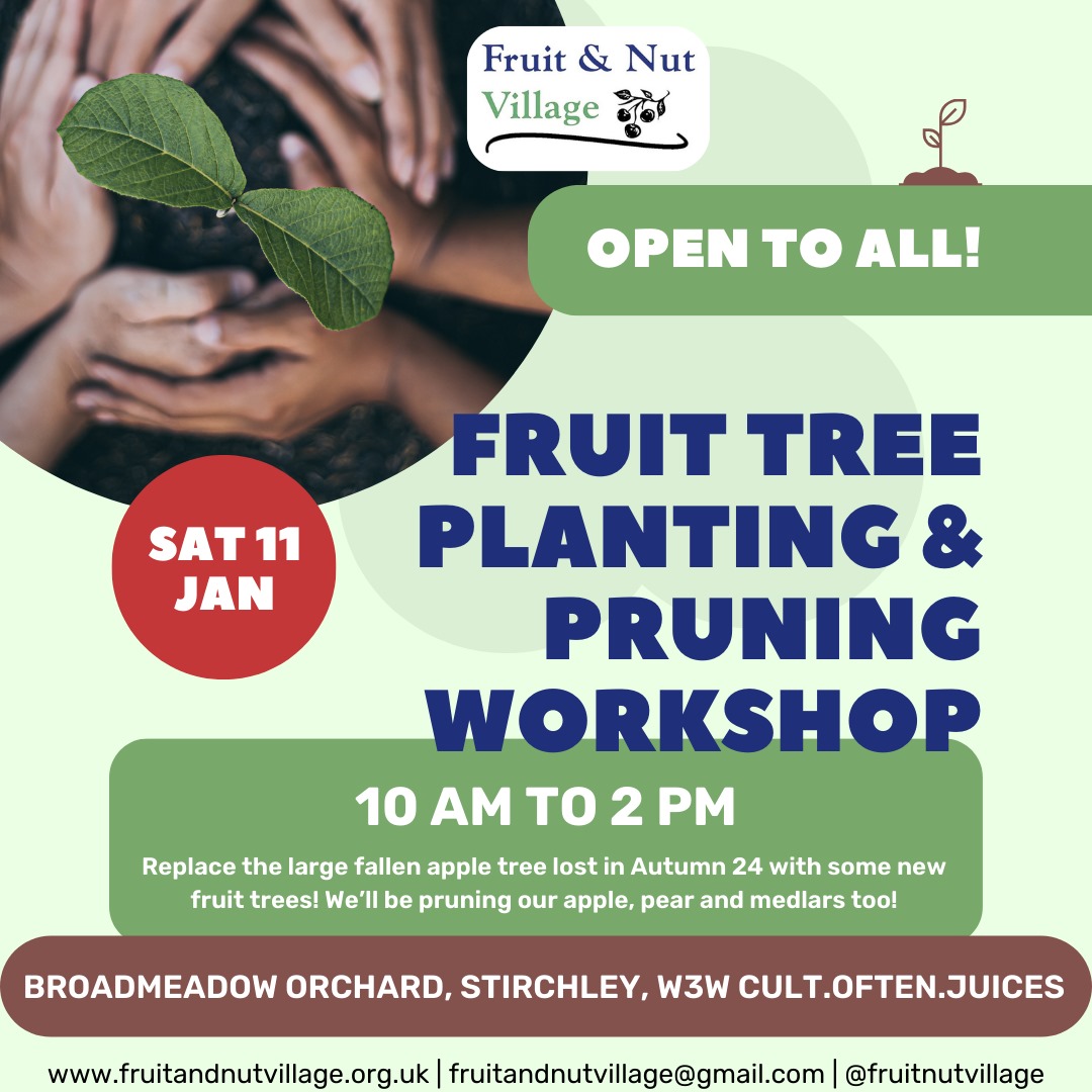 #BroadMeadowOrchard #Stirchley #FruitTrees #Planting #Pruning... on the River Rea path between Cartland Road and Dads Lane... Saturday 11th January 25