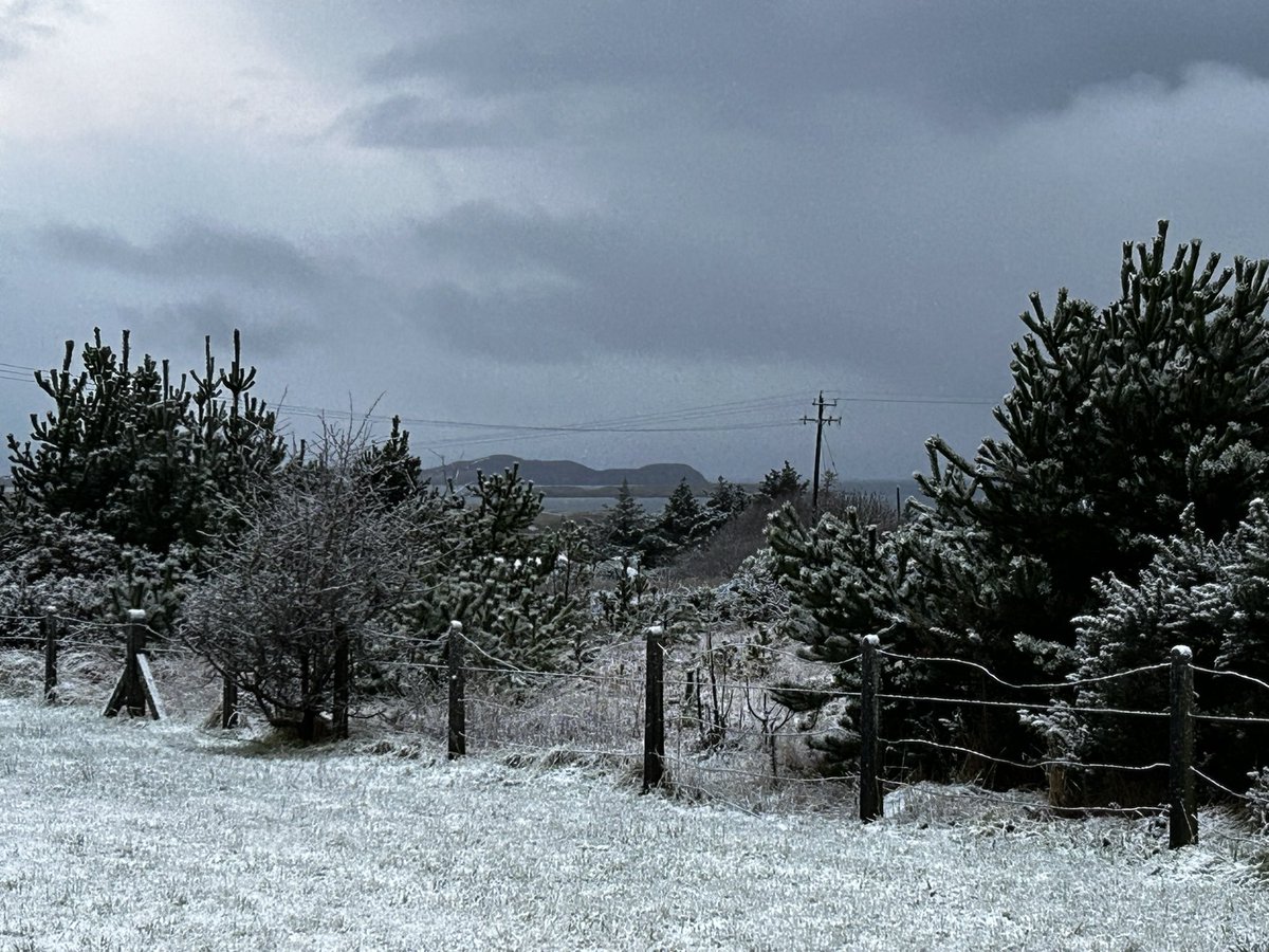 Caoimhe Ní Chonchoille (@caoimhenich) on Twitter photo Maidin fhuar anseo i <a href="/RTERnaG/">Raidió na Gaeltachta</a> i nDoirí Beaga. Bígí cúramach ar na bealtaí má tá sibh ag dul amach ❄️ Maidin fhuar anseo i <a href="/RTERnaG/">Raidió na Gaeltachta</a> i nDoirí Beaga. Bígí cúramach ar na bealtaí má tá sibh ag dul amach ❄️