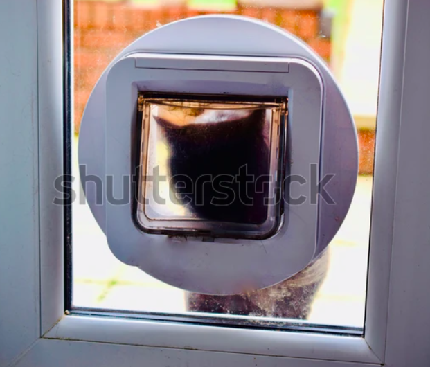 InessaW29's tweet photo. https://t.co/EqiNQpqYea

Cat is looking through the house cat flat.

NOT AI

#MHHSBD #Cat  #PHOTOS #PhotographyIsArt #designer #home #CatsOfTwitter #Lookoutpoint #catseyes #homealone #Pets #doortodoor #catlife https://t.co/D6lrNx2ql8