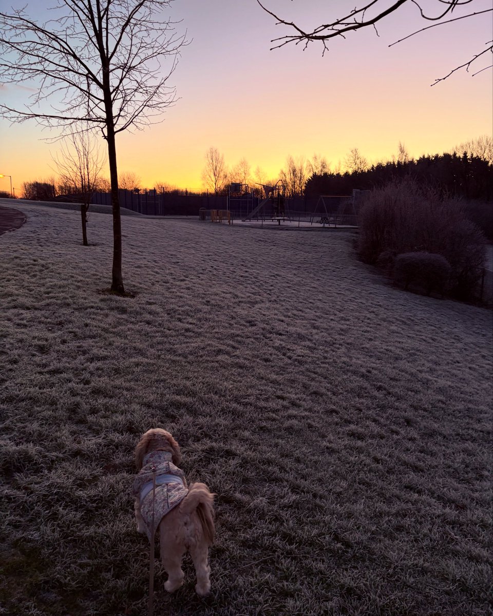 Beautiful crisp morning today 😊🐶❄️