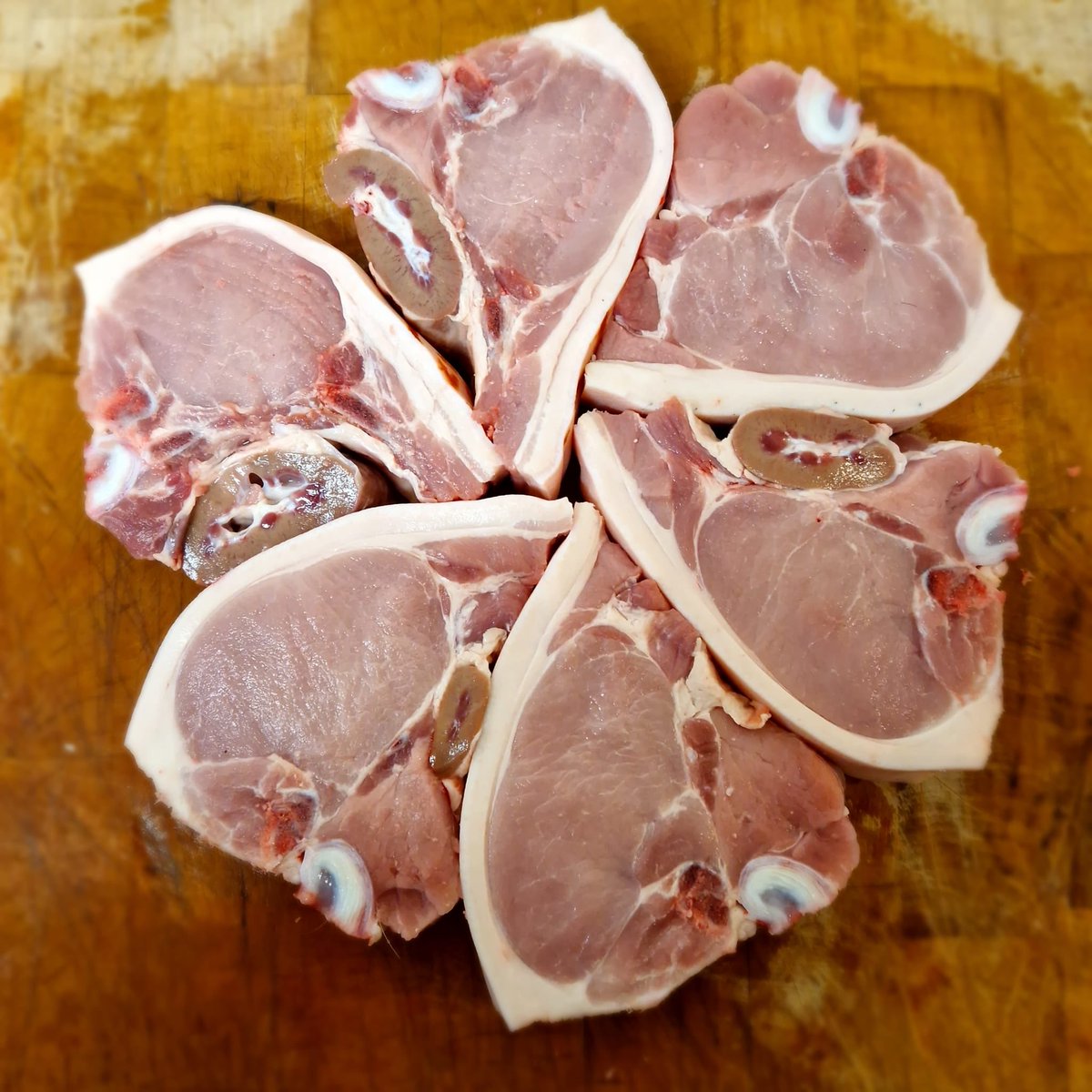 Edge & Son Butchers (@ewedgebutchers) on Twitter photo Pork T-Bones and kidney on the side! A lovely “Winter Warmer” 😀👌<a href="/ShitChester/">12 years of Shitchester</a> <a href="/chestertweetsuk/">#chestertweets</a> <a href="/hcachester/">The Handbridge Community Association</a> Pork T-Bones and kidney on the side! A lovely “Winter Warmer” 😀👌<a href="/ShitChester/">12 years of Shitchester</a> <a href="/chestertweetsuk/">#chestertweets</a> <a href="/hcachester/">The Handbridge Community Association</a>