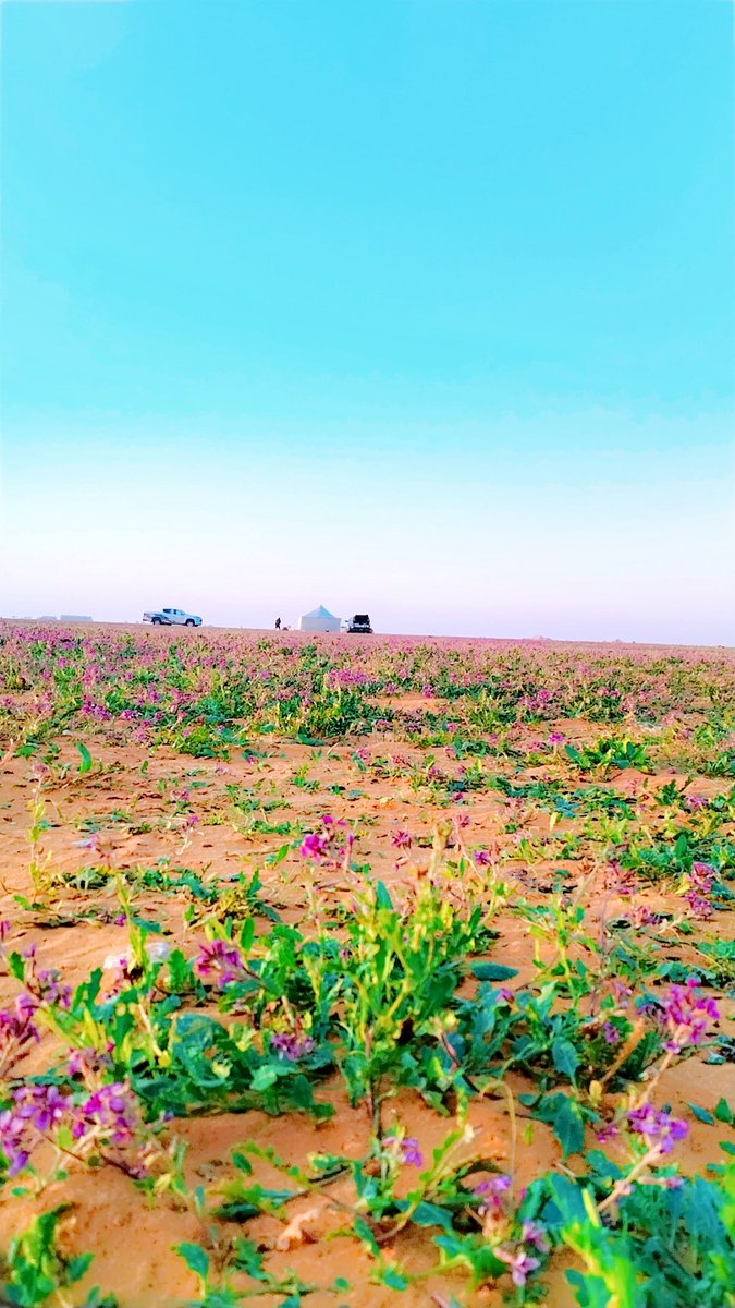 قال الله تعالى
والصبح إذا تنفس