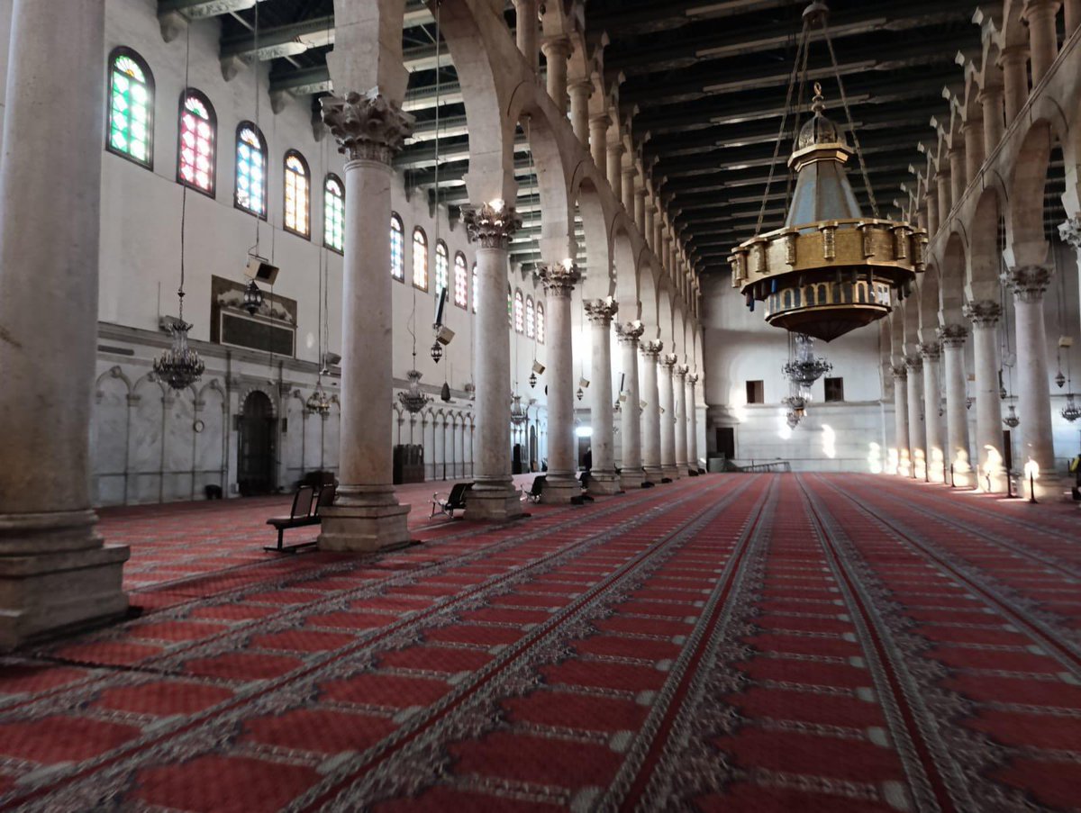 FatmaSahin's tweet photo. Geçtiğimiz hafta Gaziantep olarak talip olmuştuk biliyorsunuz;

dünyada halının lideri Gaziantepli halıcılarımız maliyeti tümüyle üstlendiler,

biz de Gaziantep Büyükşehir olarak gittik, çalışmayı başlattık.

ŞAM EMEVİ CAMİİ’NİN HALILARI İLK TERAVİH NAMAZINA YETİŞECEK İNŞALLAH!

Nasip eden Rabbimize şükürler olsun! 🤲🇹🇷
