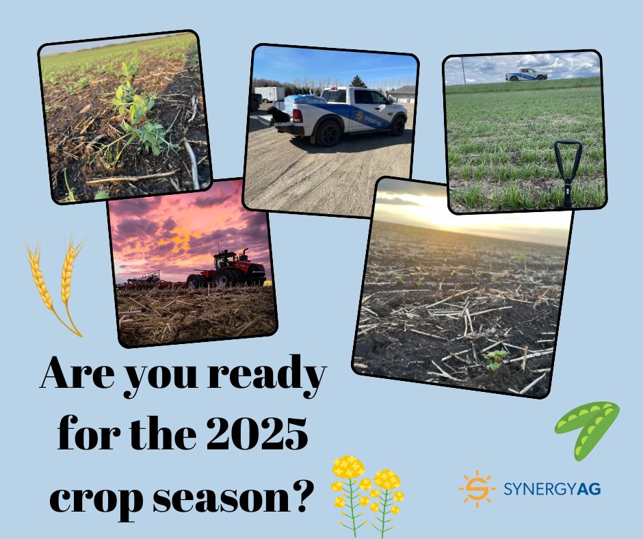 SynergyAGYktn's tweet image. Its never too early to start planning for this years crop success. Stop by the office or give us a call, to start planning for this years crop! 🌱🌾
#SynergyAg #rootsyoucancounton #planforsuccess