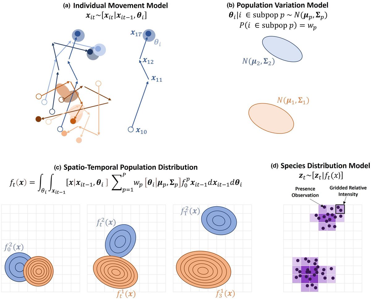 Methods in Ecology and Evolution (@methodsecolevol) on Twitter photo 📖Published📖 
In our new research article, Buderman et al. demonstrate a general approach to constructing Integrated Movement Models that combine both individual telemetry and species distribution data. Read more here 👇 
buff.ly/3C1ehsn 📖Published📖 
In our new research article, Buderman et al. demonstrate a general approach to constructing Integrated Movement Models that combine both individual telemetry and species distribution data. Read more here 👇 
buff.ly/3C1ehsn