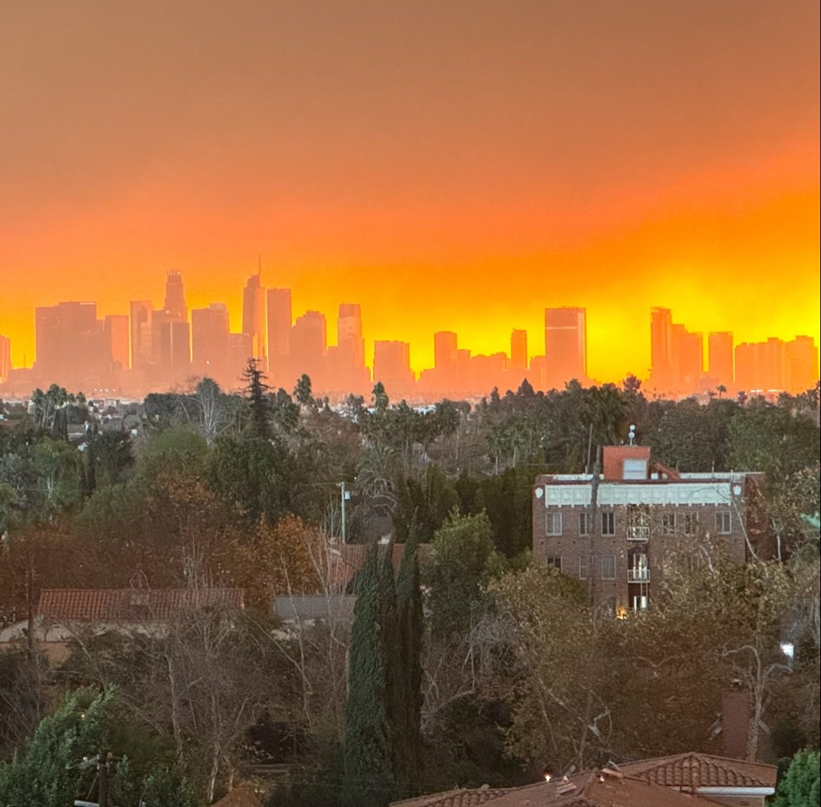 PrairieTim's tweet image. Sure hope all the fire fighters in LA have been given proper DEI training!