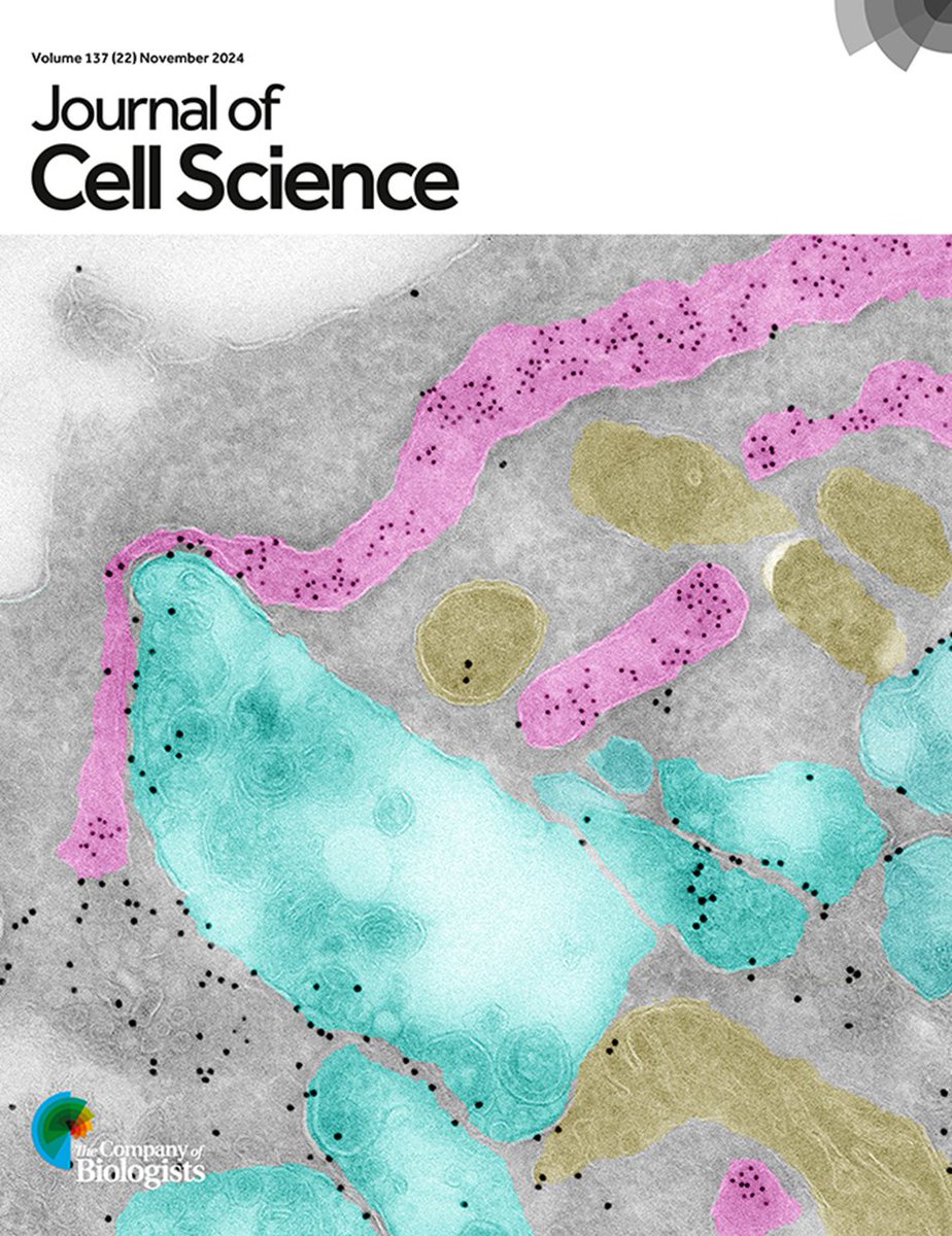 judith klumperman (@jklumperman) on Twitter photo 