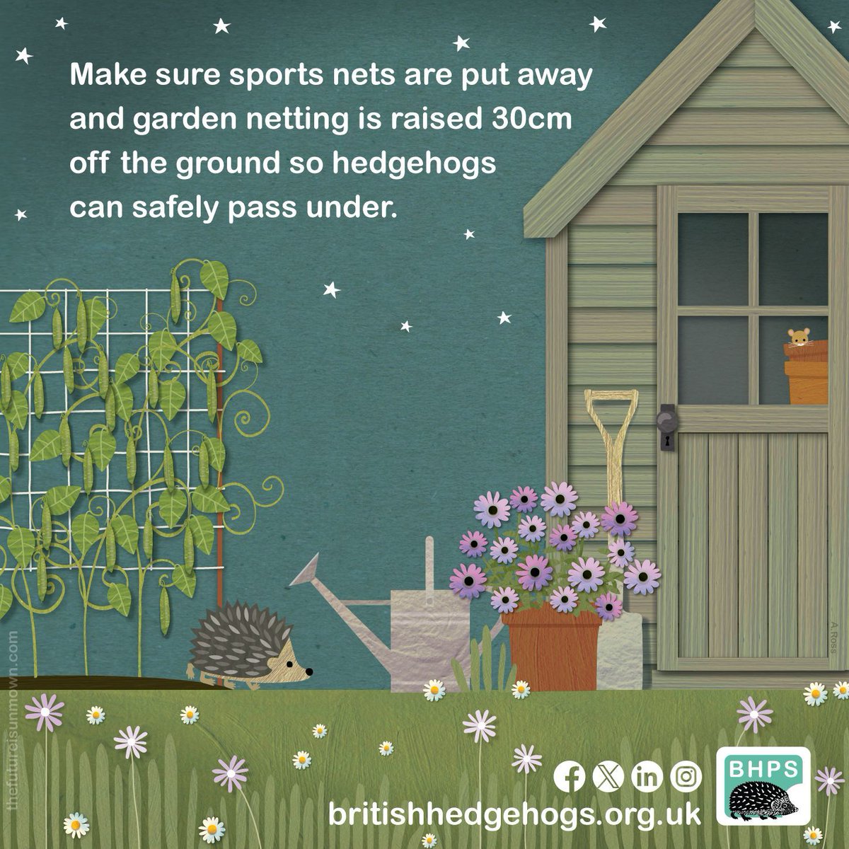 Help #hedgehogs with a single click!
🦔

Please #ShareToMakeAware!
