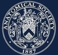 Our Education Committee are looking to appoint an experienced neuroanatomist to the role of expert assessor for the National Undergraduate Neuroanatomy Competition (NUNC) for up to 4-years.  
More info: buff.ly/3C1Yc5C
Application form: buff.ly/4j1T6XX