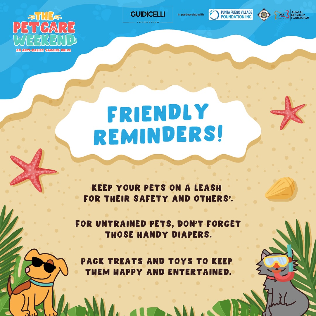 AshMatt_intl's tweet photo. Pet Care Weekend at Punta Fuego! 🐶🐱 #PetCareWeekend #GFoundation https://t.co/yqJANYZEVT