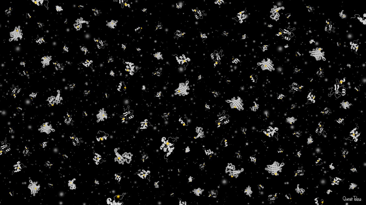Centre for Genomic Regulation (CRG) (@crgenomica) on Twitter photo Introducing Human Domainome v1, the largest and most comprehensive library of human protein variants to date, which maps the effects of +500K mutations across 522 domains. The study by <a href="/BenLehner/">Ben Lehner</a> and Toni Beltran <a href="/mutatoni/">Toni Beltran</a> is out in <a href="/Nature/">nature</a>.
✍️ Illustration by <a href="/QueraltTolosa/">Queralt Tolosa, PhD</a> Introducing Human Domainome v1, the largest and most comprehensive library of human protein variants to date, which maps the effects of +500K mutations across 522 domains. The study by <a href="/BenLehner/">Ben Lehner</a> and Toni Beltran <a href="/mutatoni/">Toni Beltran</a> is out in <a href="/Nature/">nature</a>.
✍️ Illustration by <a href="/QueraltTolosa/">Queralt Tolosa, PhD</a>