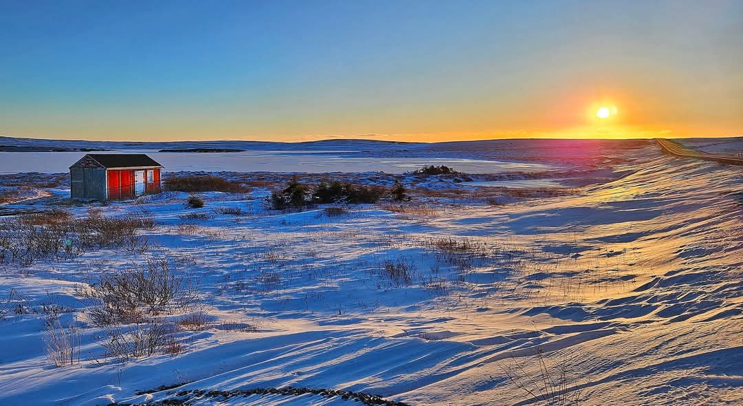 ❄️ We're still waiting on our first big dump of the fluffy stuff for the season but this pretty memory just popped up. 

Even though the barrens are not fit to drive in during snow storms, are they ever pretty when the flakes settle ... 

📸 January 9th, 2024 
#IrishLoop