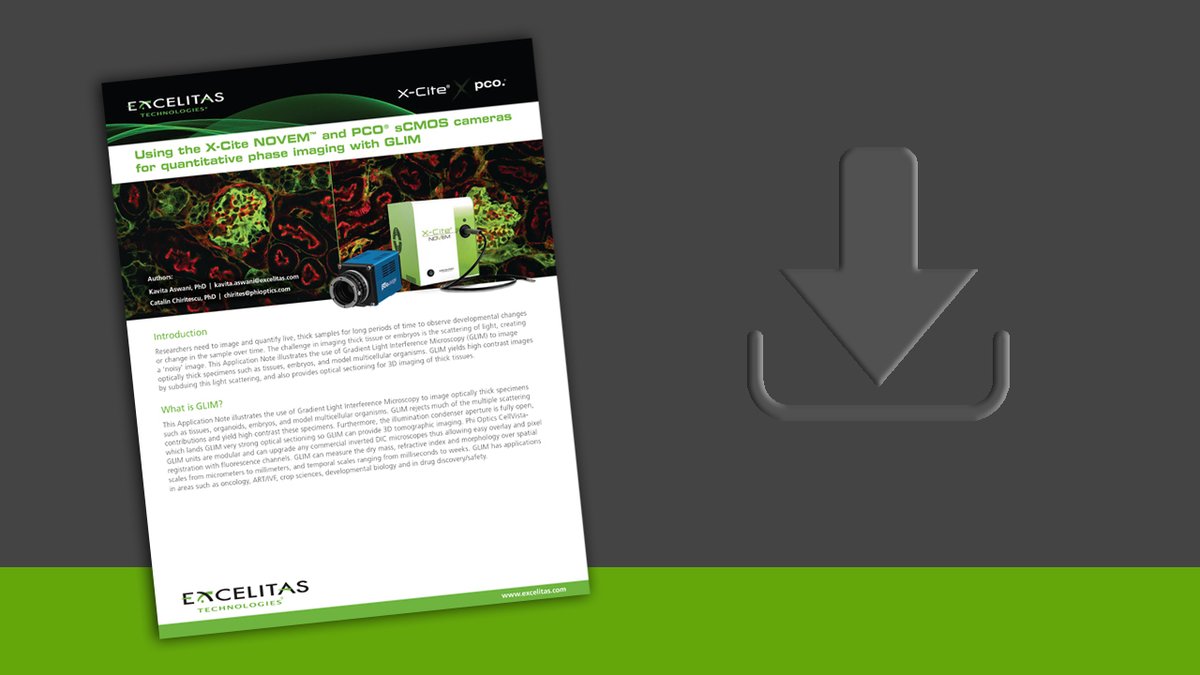 Qioptiq's tweet photo. Struggling with light scattering in thick tissues, embryos or organisms? Our X-Cite NOVEM &amp; PCO #sCMOS cameras with #GradientLightInterferenceMicroscopy (#GLIM) reduce scattering for high-contrast images &amp; 3D optical sectioning. Learn more: https://t.co/8YM4XOOoVs https://t.co/g5Mb3AXqAq