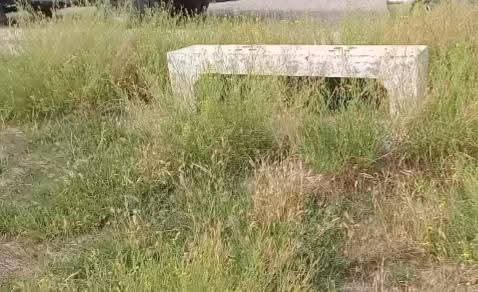 PrensaComodoroo's tweet photo. #comodororivadavia plazas descuidadas, municipio ausente buscan los bancos entre los arbustos en cercanía del polideportivo Loteo Tres Pinos Barrio Malvinas Argentinas #barrial #mcr peligros de insectos y animales no deseados. #niños solo les importa recaudar con los impuestos 💰 https://t.co/7WU1ZJVyRB