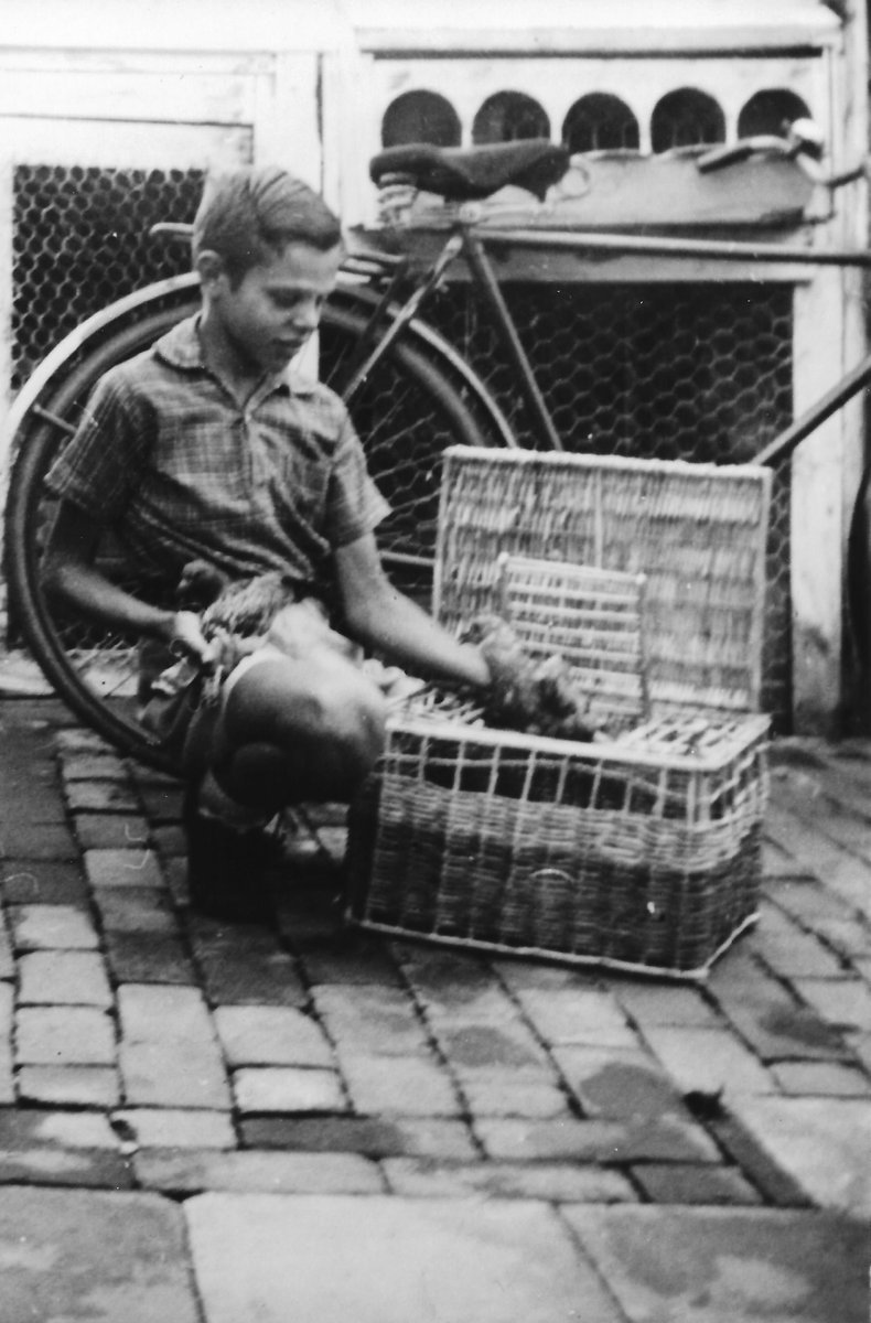 Uit het plakboek van het Museum van Zuilen...
U.N. 9. jan. 1952
De UPV “Het Noorden” organiseert Zaterdag  en Zondag a.s. een expositie van oude vogels in haar clublokaal aan de Balderikstraat. Keurmeester is de heer J. Hinte uit Dordrecht. Opening Zaterdagavond 19 uur.