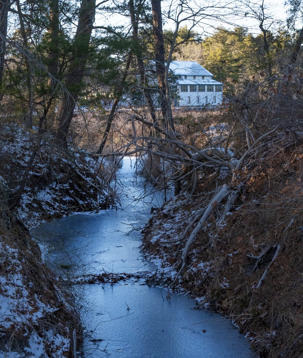 Peter Ackerman tweet media