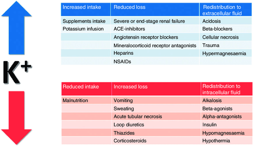 drsthanus's tweet photo. Beta blockers and  potassium balance. 

Beta blockers can affect potassium balance in a number of ways, including:

●Hyperkalemia

Beta blockers can cause hyperkalemia, or high blood potassium levels, through a few mechanisms: https://t.co/jCzqi99Zos