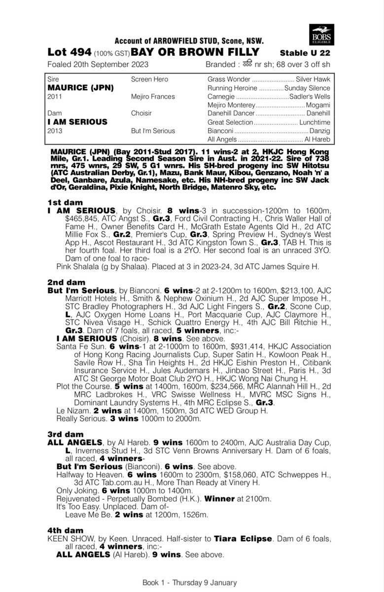 ProvenTbreds's tweet photo. Our 7th acquisition at #MagicMillions2025 is the MAURICE x I AM SERIOUS filly.

I AM SERIOUS was indeed a ‘serious’ mare, winning 8 from 18 starts, defeating 6 individual Group 1 winners during a brief but stellar career.

Kerry Parker’s patient handling will be perfect for this filly.