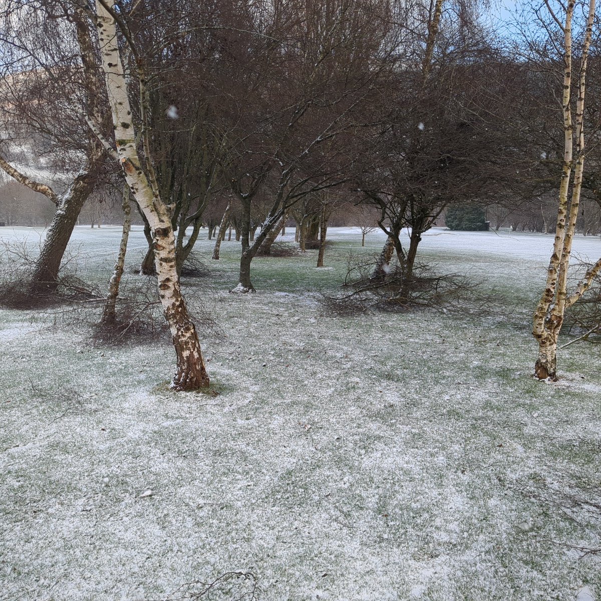 VLGC Greens tweet media