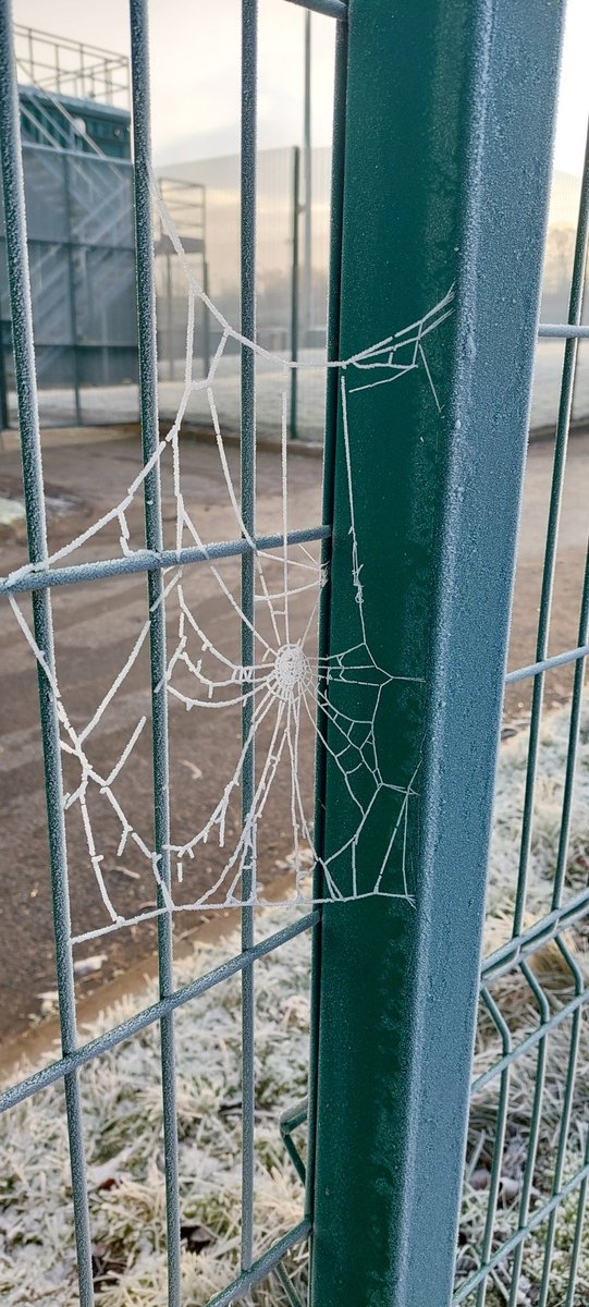 Bit nippy in work this morning <a href="/QueensSport/">@queenssport</a>