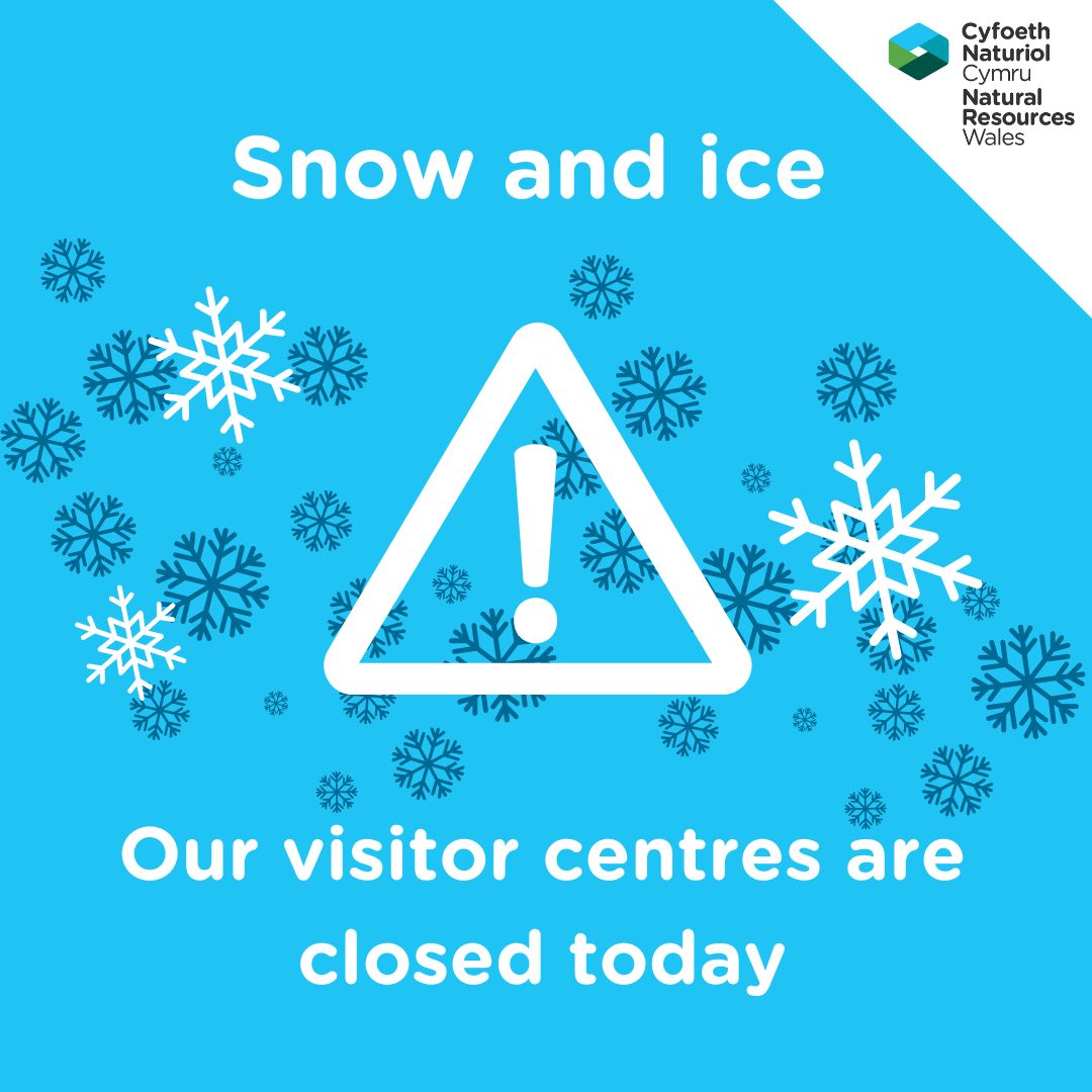 Our visitor centres at Coed y Brenin, Bwlch Nant yr Arian and Ynyslas are closed today due to snow and ice, for the safety of visitors and staff.

Please be aware that access roads, car parks and trails at our woodlands and reserves are not gritted and may be inaccessible.