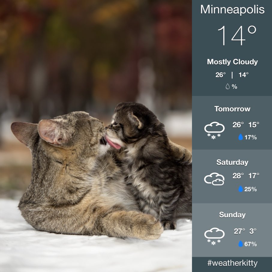 Janine Munson tweet media