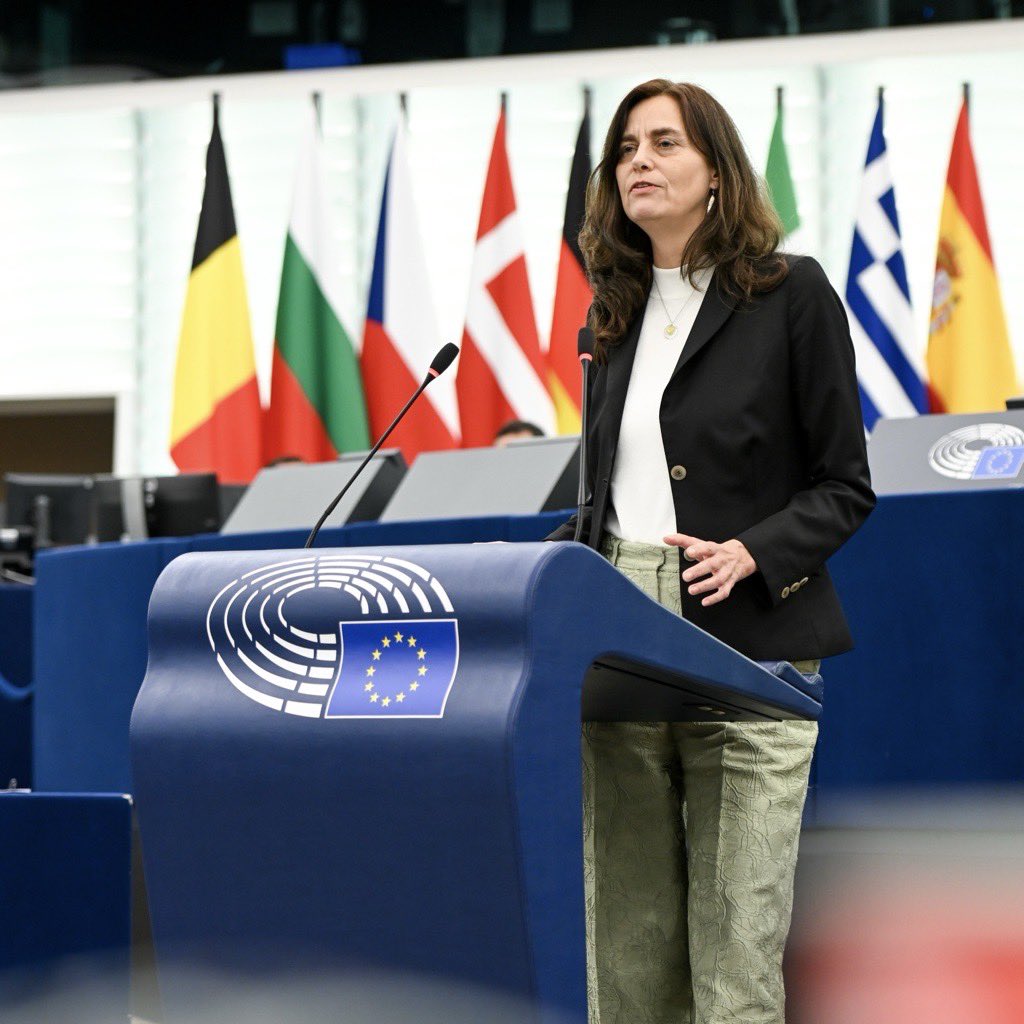 The Greens/EFA group requested a plenary debate: „Interference in EU democracy through algorithmic distortion of public opinion”. The EU Commission needs to enforce the #DSA against the amplification of disinformation and hate speech by tech giants like Meta, X and TikTok.