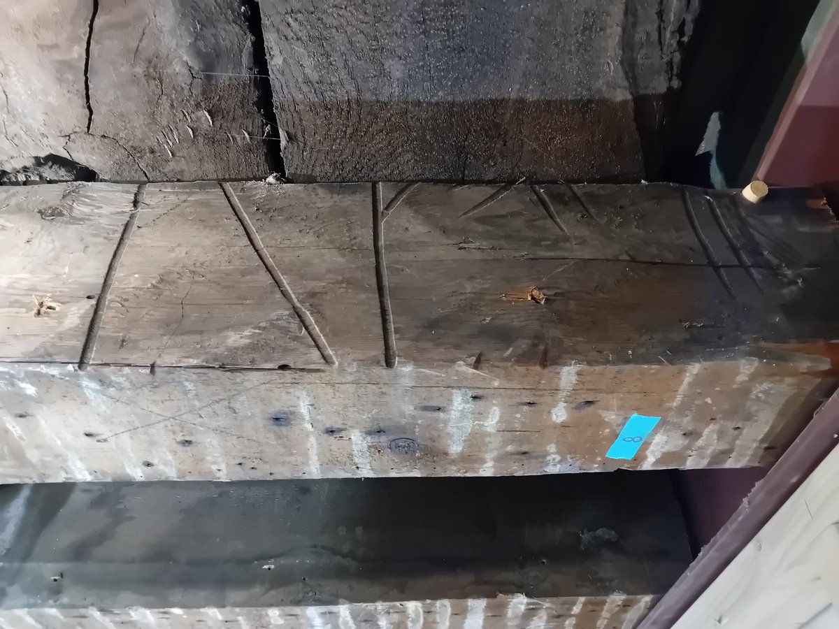 Jane sidell tweet media