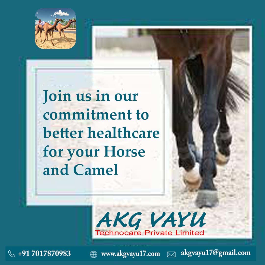 RealVet_UAE's tweet photo. 🐪🐎 AKG VAYU 17
#akgvayu17#veterinary my#camelriding #camelrace #camelodromo #horseraces #horserace
#animals#cat#dogs#dogstagram#medicineveterinary#pet #pets#puppy #veterinarian#veterinarynurse #vetlife#vetmed#animalfeedsupplements
#Veterinaryproductsmanufacturers
#Poultryfeed https://t.co/cniJqzHAey