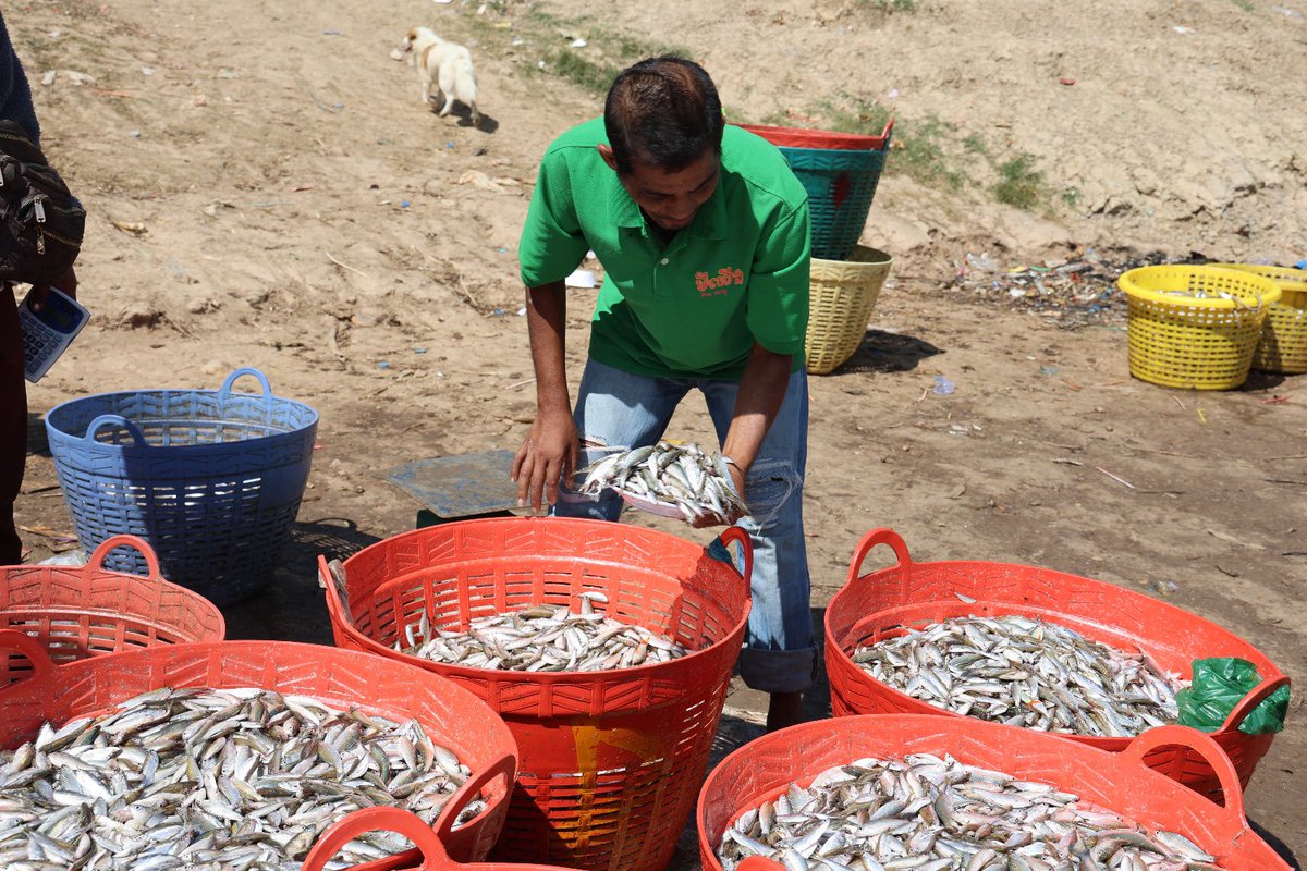 Igor Driesmans tweet media