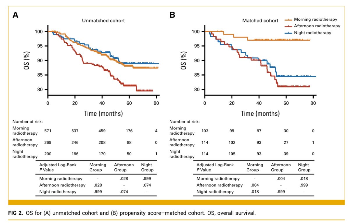 Timing matters? ⏰ Morning ☢️⬆️ survival in NPC without added toxicity. Should we rethink RT scheduling? 🤔<a href="/OncoAlert/">OncoAlert</a> 
🎯Objective:
•Investigate the impact of ☢️ timing (morning, afternoon, night) on OS and toxicity in NPC
🔬Methods:
•Retrospective analysis of 1,040 NPC 👥
